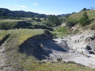 Buckhorn Trail
